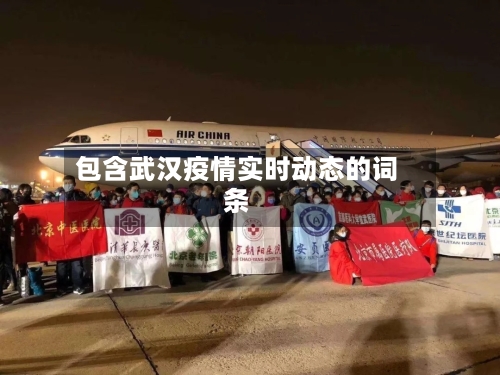 包含武汉疫情实时动态的词条-第2张图片