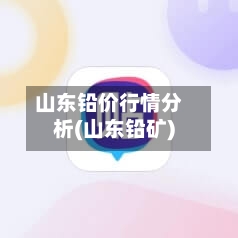 山东铅价行情分析(山东铅矿)
