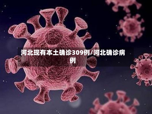 河北现有本土确诊309例/河北确诊病例-第2张图片
