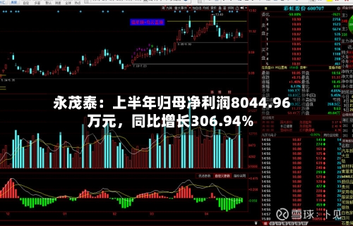 永茂泰：上半年归母净利润8044.96万元	，同比增长306.94%-第2张图片