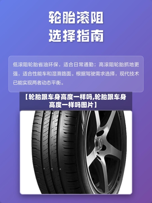 【轮胎跟车身高度一样吗,轮胎跟车身高度一样吗图片】-第3张图片