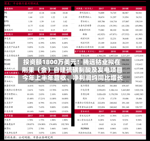 投资额1800万美元！腾远钴业拟在刚果（金）自建硫磺制酸及发电项目 今年上半年营收、净利润均同比增长-第2张图片