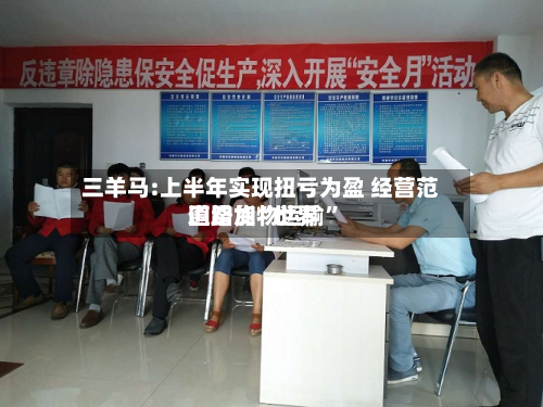 三羊马:上半年实现扭亏为盈 经营范围增加“世界道路货物运输”-第2张图片