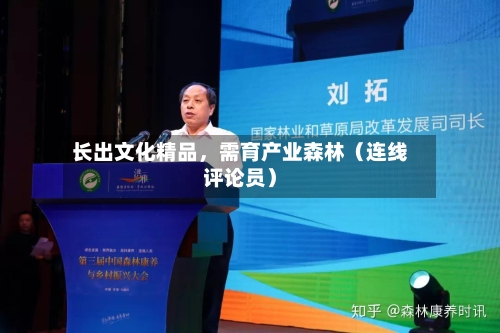 长出文化精品	，需育产业森林（连线评论员）-第2张图片
