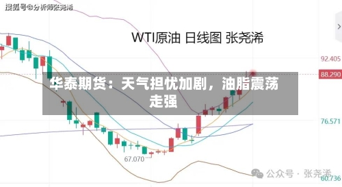 华泰期货：天气担忧加剧，油脂震荡走强-第3张图片