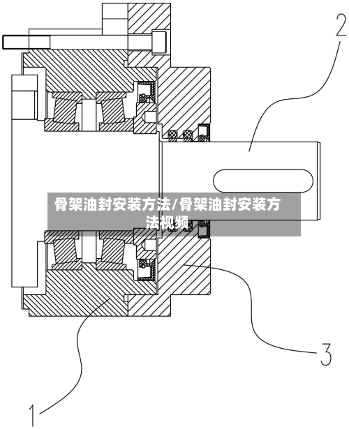 骨架油封安装方法/骨架油封安装方法视频-第2张图片