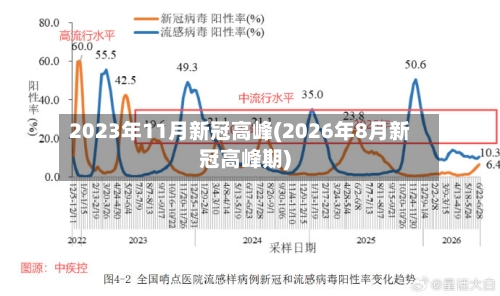 2023年11月新冠高峰(2026年8月新冠高峰期)-第1张图片