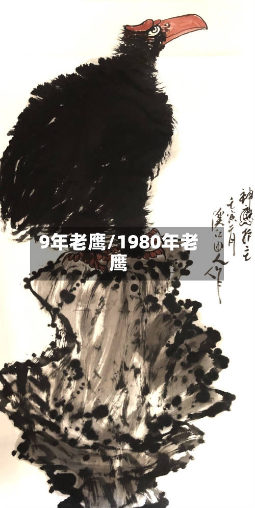 9年老鹰/1980年老鹰-第2张图片