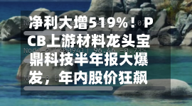 净利大增519%！PCB上游材料龙头宝鼎科技半年报大爆发，年内股价狂飙234%-第2张图片