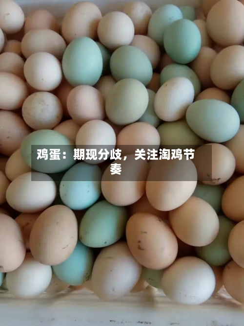 鸡蛋：期现分歧	，关注淘鸡节奏-第1张图片