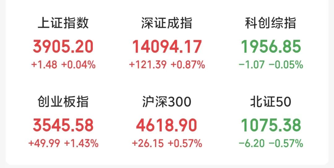 超级大单涌入，200亿龙头涨停